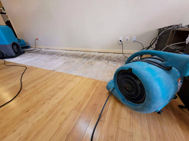 Professional Water Removal technician working in Millbrae, CA